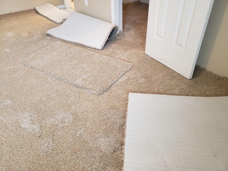 Carpet Foam Replacement